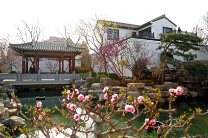 天泰桃花源