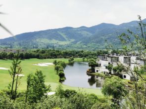 蓝城 桂林桃花源 媒体零距离品鉴美好之旅圆满落幕