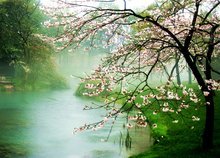 庐山桃花源