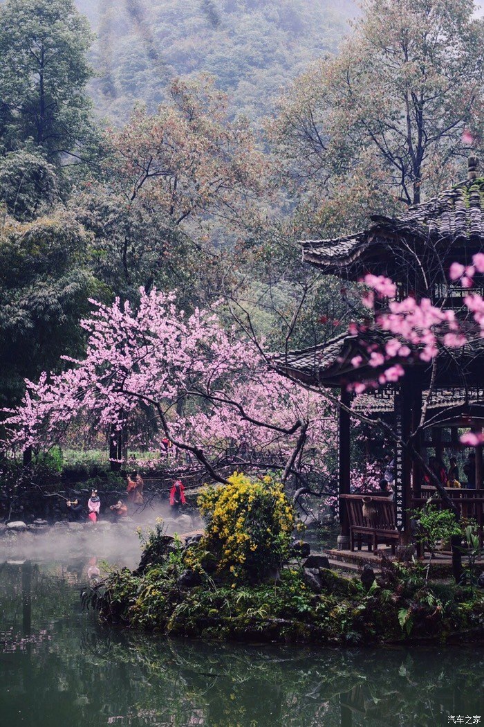 忆桃花源-柳暗花明又一村