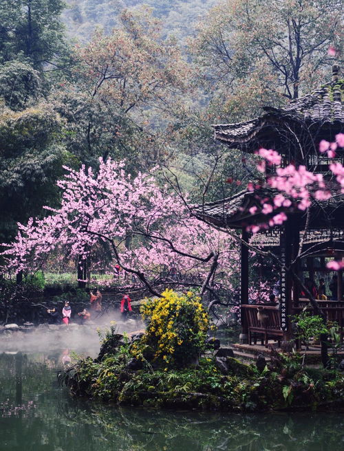 原来世界上真有 桃花源 ,就藏在重庆武陵山腹地,知道的人不多