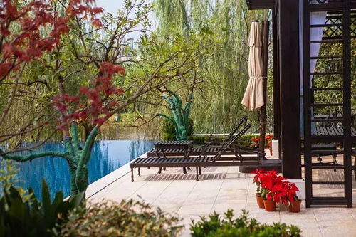 桃源品 独栋绿城 桃源里,小镇墅藏品 桃花源