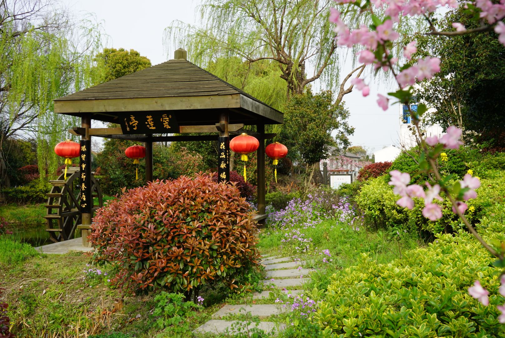 无锡阳山桃花源景区 一季桃花，一梦江南