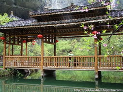 酉阳桃花源 寻觅现实中的隐逸秘境