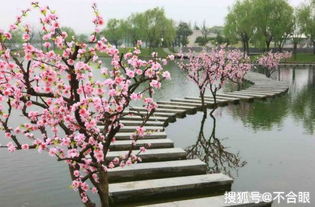 心向桃源 陶渊明笔下的理想栖居与当代精神寄寓